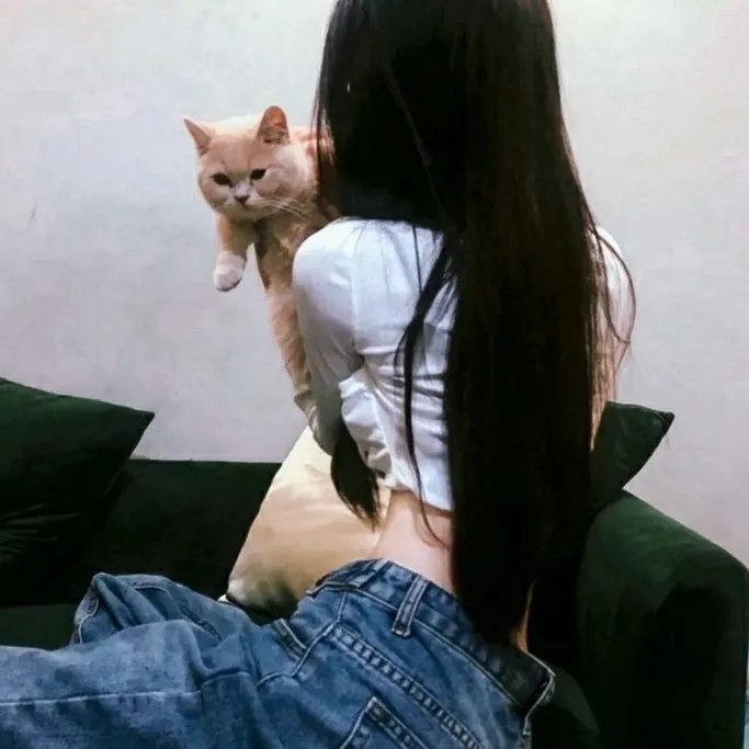金鹰访谈2009